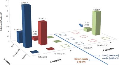 Genomic Insights Into Energy Metabolism of Carboxydocella thermautotrophica Coupling Hydrogenogenic CO Oxidation With the Reduction of Fe(III) Minerals